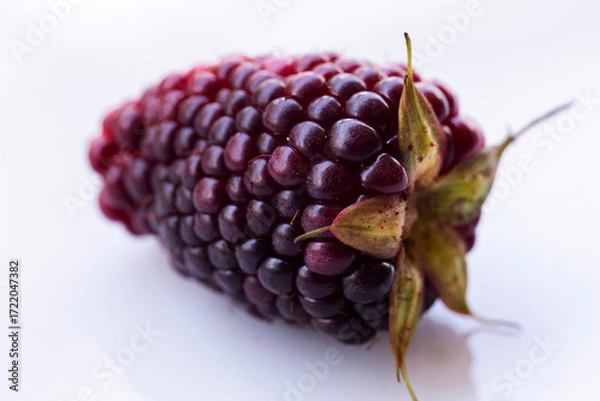 Fototapeta Fresh Ripe Blackberries Close Up with Natural Texture