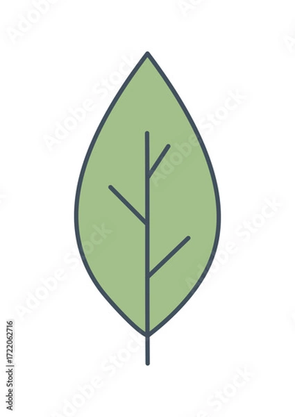 Fototapeta Green Leaf Icon Set – Botanical, Nature and Eco Friendly Vector Illustrations