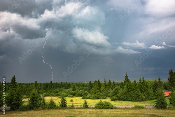 Fototapeta Dramatic thunderstorm with dark clouds, lightning and spruce trees in the distance.