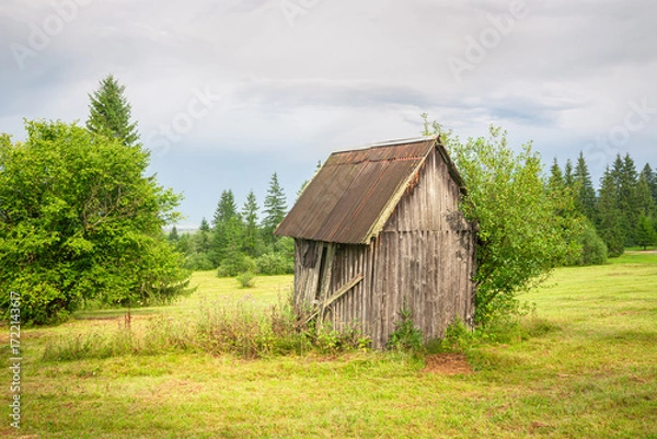 Fototapeta Rustic wooden shed in open field surrounded by green trees