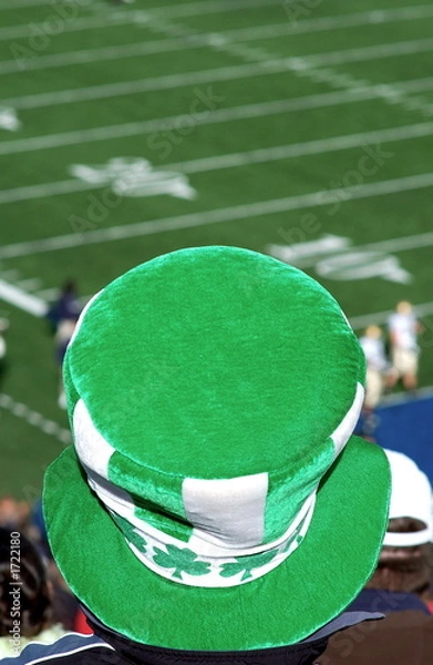 Obraz Fan Notre Dame