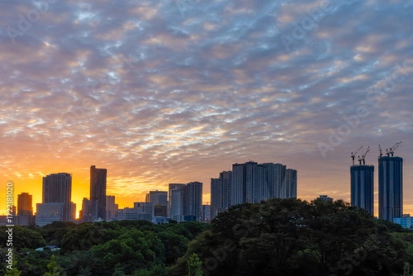 Fototapeta 東京散歩　東京湾の夜明け