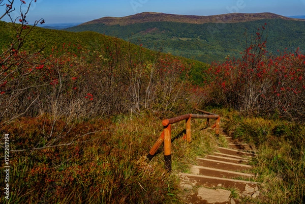 Fototapeta Wooden steps in autumn shrubs leading into panoramic green mountain ridges