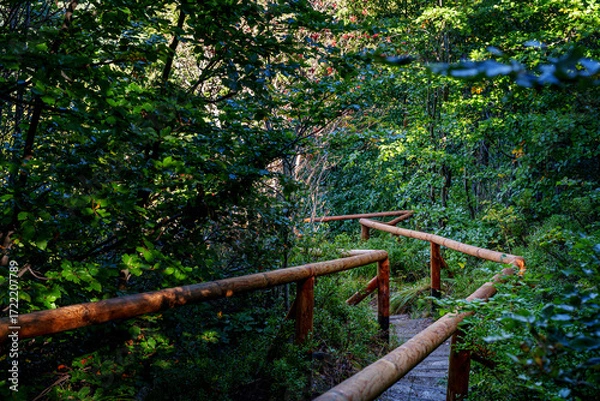 Fototapeta Twisting wooden-railed path through lush green forest in mountain shade