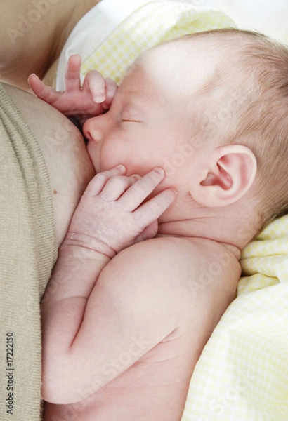 Obraz Karmiące dziecko