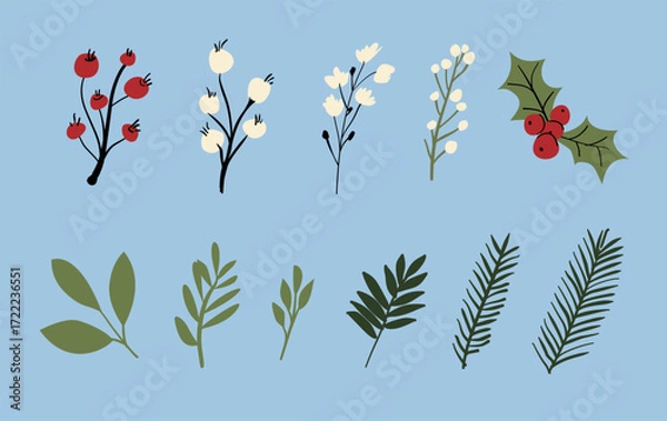 Fototapeta Hand drawn vector winter floral elements. Winter branches and leaves with red and white berries. Vintage botanical illustrations.