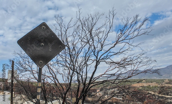 Fototapeta charred road sign as a result of the Rosa wildfire in Riverside county, California