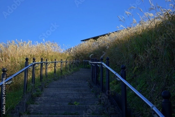 Obraz 秋の生石高原と澄んだ青空