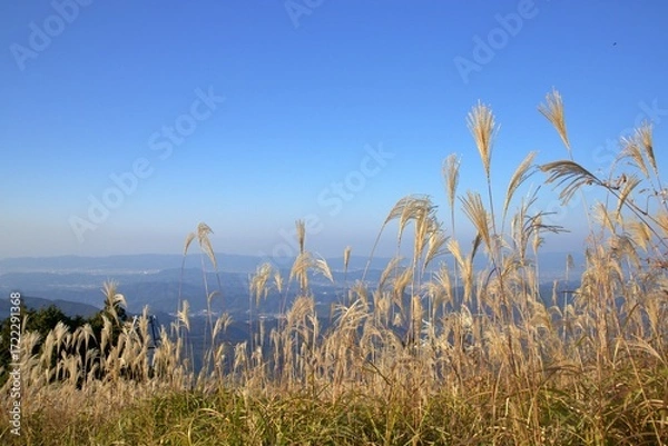 Obraz 秋の生石高原と広がる青空