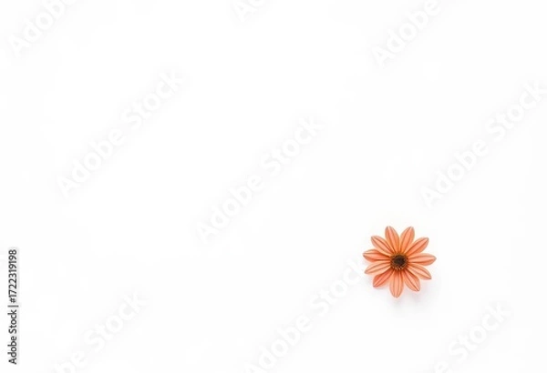 Fototapeta Clean white background texture, seamless pattern, surface, wallpaper