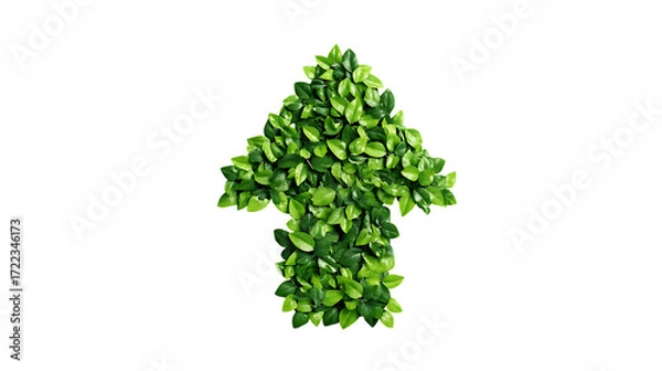 Fototapeta Upward arrow made of green leaves isolated on transparent background.