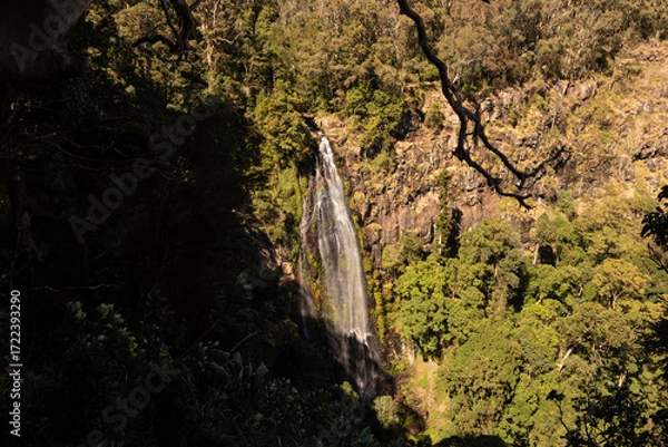 Obraz Morans Falls in Lamington National Park, Queensland, Australia. The falls are narrow, but eighty metres tall.