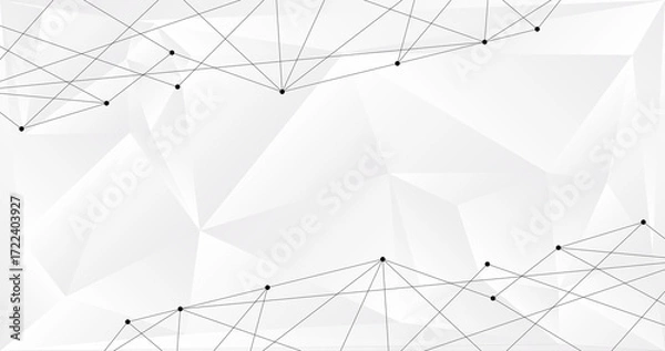 Fototapeta Network Polygonal Connect Lines and Dots Background Design