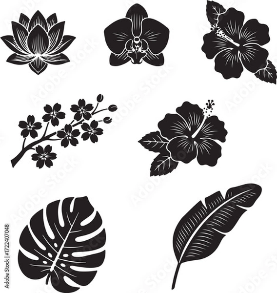 Fototapeta Floral Silhouette: A collection of meticulously crafted floral and foliage silhouettes. Each element, from the graceful curves of a lotus to the delicate details of an orchid.