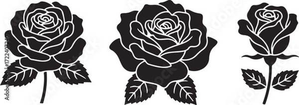 Fototapeta Elegant Rose Silhouette: An elegant silhouette of three roses showcase timeless beauty of botanical design and a touch of grace and sophistication in a captivating display of floral elegance.