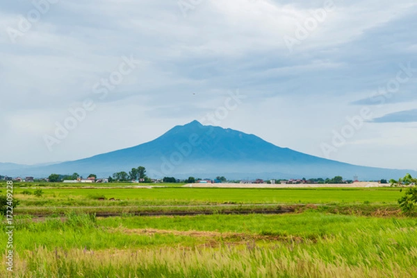 Obraz 津軽平野から望む岩木山