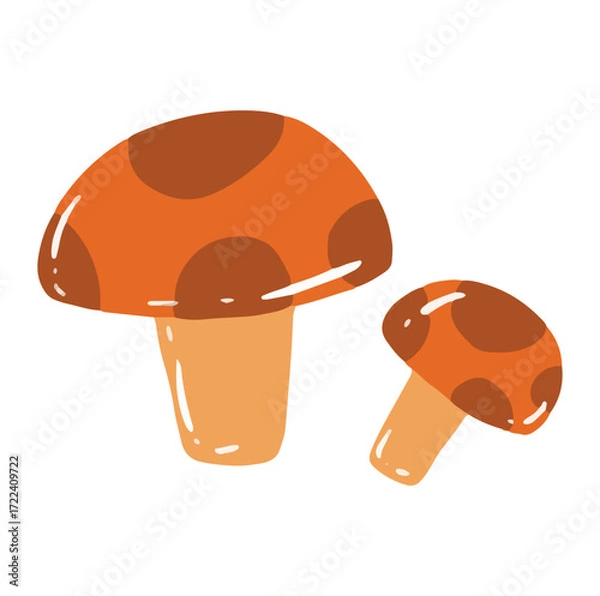 Fototapeta mushrooms vector