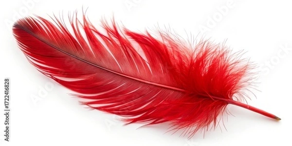 Fototapeta Single vibrant red feather isolated on white background