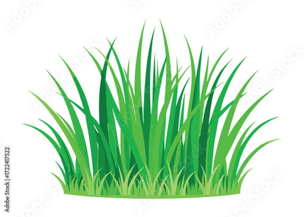 Fototapeta Green grass vector illustration for landscaping and nature themed graphic projects use
