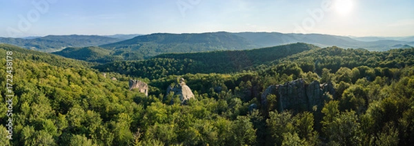 Fototapeta Panoramic view of bright landscape with green forest trees and big rocky boulders between dense woods in summer. Beautiful scenery of wild woodland