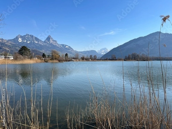 Obraz Swiss subalpine lake Lauerz in the valley basin of Schwyz, Switzerland - Lauerzersee im Talkessel von Schwyz, Schweiz