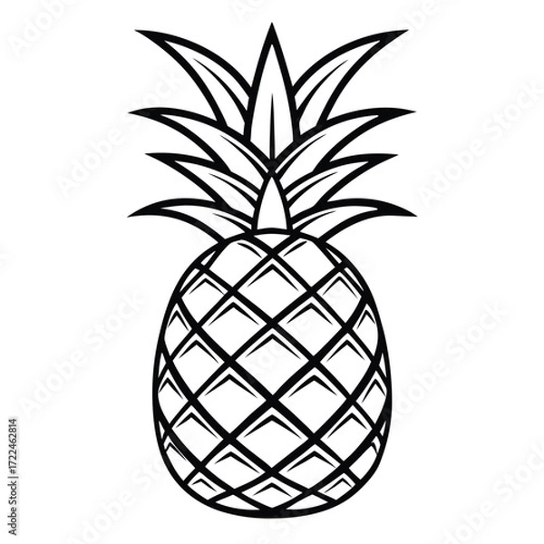 Obraz vector illustration of pineapple