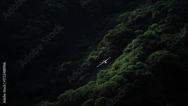 Fototapeta Small plane in dense forest