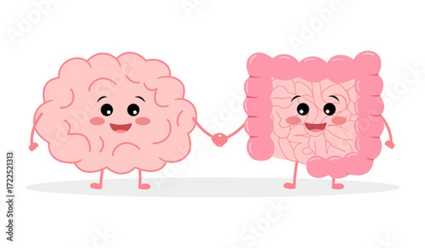 Fototapeta Connection of cute healthy happy brain and intestine gut characters. Concept Relation health of human brain and gut, second brain. Unity of mental and digestive. Vector illustration