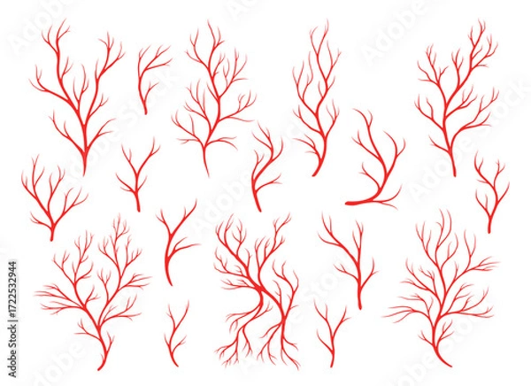 Fototapeta Red veins, human blood vein artery and capillary. Medical vector set of red vein and artery branches, representing human blood vessels, cardiovascular systems and capillaries with branching patterns