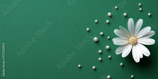 Fototapeta Elegant White Daisy and Pearls on Green Textured Background: A Minimalist Floral Composition