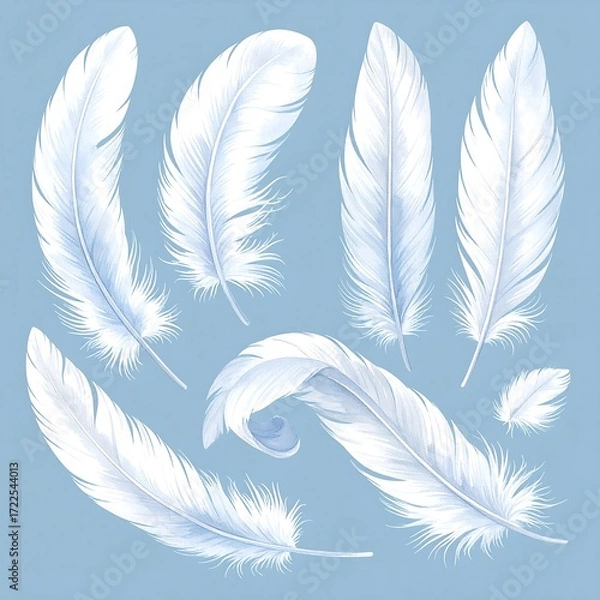 Obraz Feathers collection