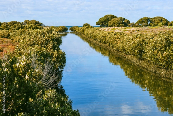 Obraz canal through swamp land to the sea at Williamstown