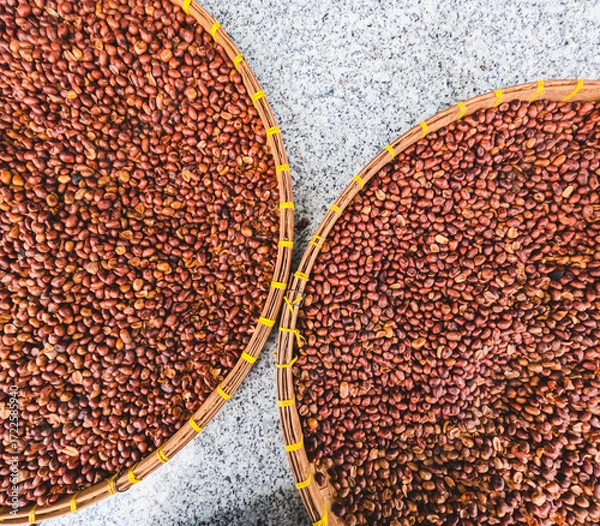 Fototapeta Close-Up of Shiny Roasted Peanuts Showing Texture and Perfect Crispness
