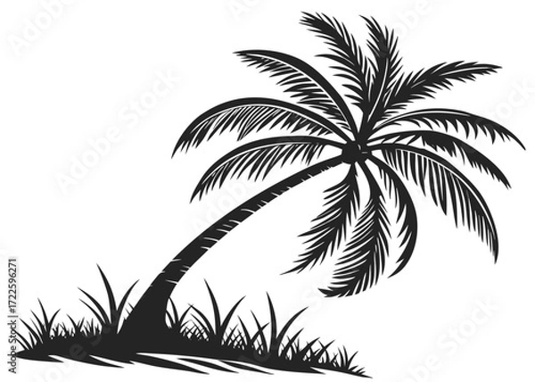 Fototapeta Black silhouette of a leaning palm tree with grass on a white background beach tropical