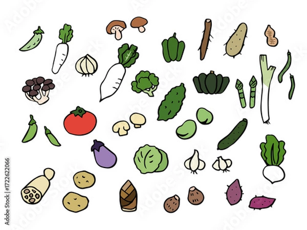 Obraz カラフル野菜の線画イラストセット