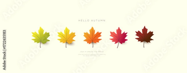 Fototapeta Autumn banner background design with colorful maple leaves in gradient shades from green to brown and discount promotion perfect for seasonal advertising and marketing use