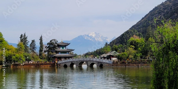 Obraz Black dragon pool