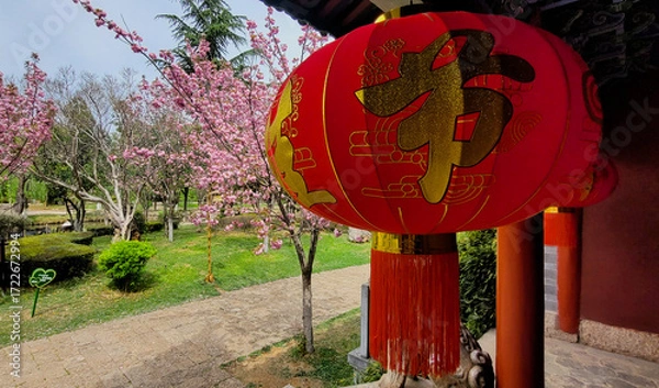 Obraz Chinese lantern