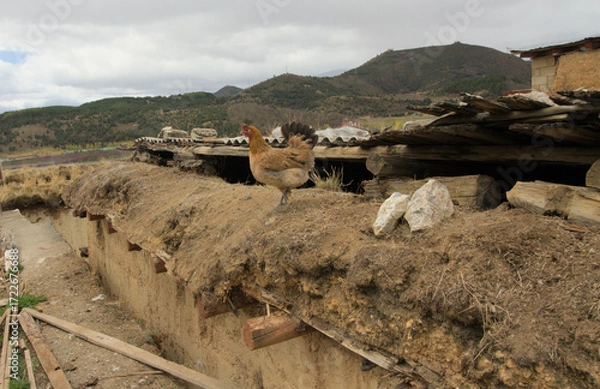Obraz Ancient mud house