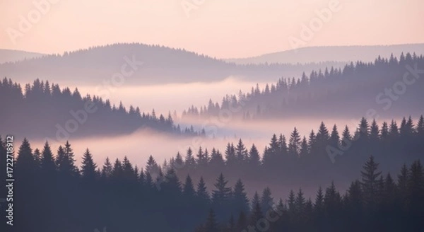 Obraz A misty morning in the mountains with pine trees and fog.