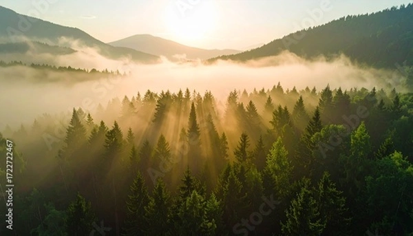 Fototapeta Sunrise over a misty mountain forest