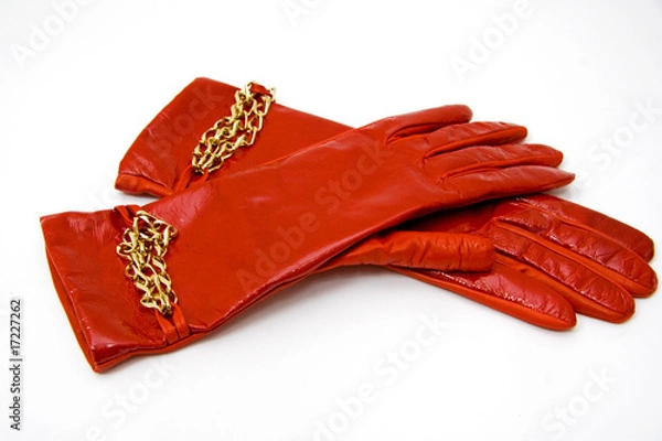 Obraz gloves