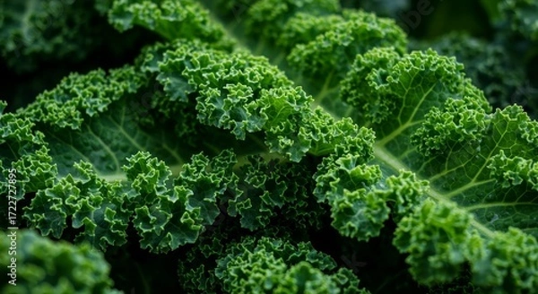Fototapeta Captivating Close-Up of Vibrant Green Kale Leaves Displaying Natural Texture