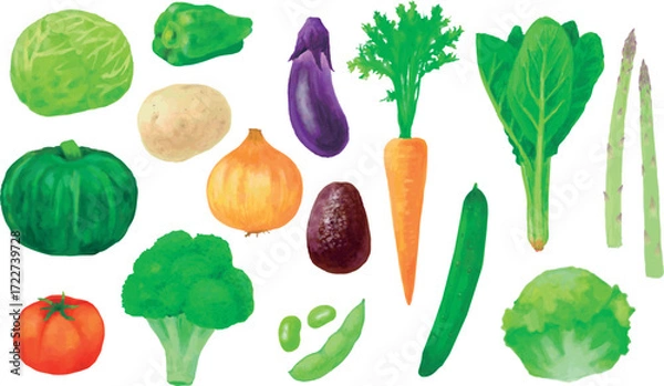 Obraz 手描きの水彩風野菜イラストセット