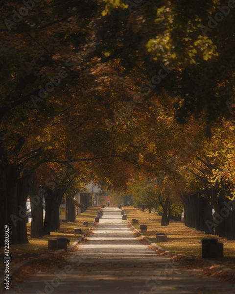 Fototapeta A long autumnal alley strewn with fallen leaves. Trees with golden-yellow foliage create a natural arch that draws the eye into the distance, emphasizing depth and perspective.