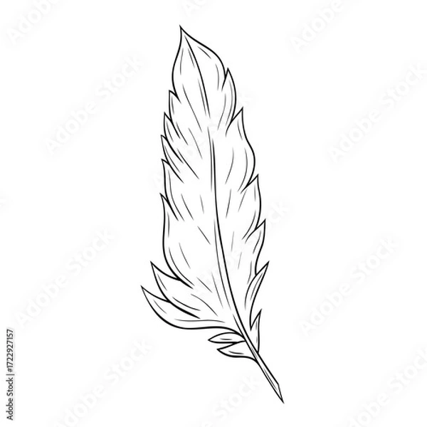 Obraz Beautiful feather ink graphic. Vector graphic illustration. Feather outline isolated on white.For the design of postcards, posters, stickers, prints, wrapping paper 