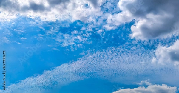 Fototapeta Shifting atmospheric fronts in the upper and lower atmosphere. A panorama of cirrus and cumulus clouds viewed from below. A dramatic meteorological celestial spectacle. Blue skies in turmoil.