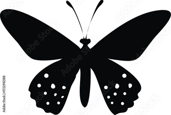 Fototapeta Elegant butterfly silhouette, a symbol of transformation and natural beauty, perfect for designs needing a touch of grace and delicate power