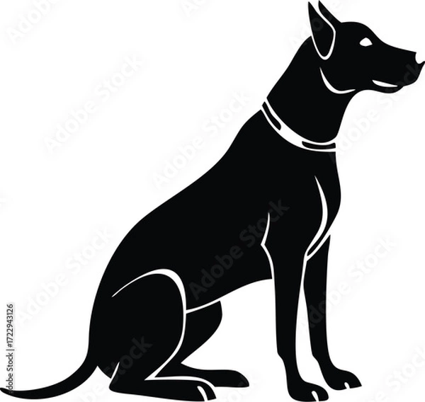 Fototapeta Striking silhouette of a sleek, alert dog sitting patiently, exuding loyalty and protection, perfect for security, pet care, or animal-themed designs