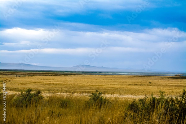 Fototapeta Open Field edited with Lightroom